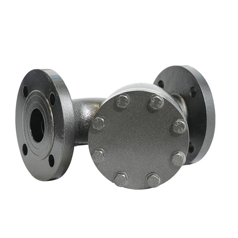 PN16 DN50 / DN80 Vérification de type Y en fer ductile à bride